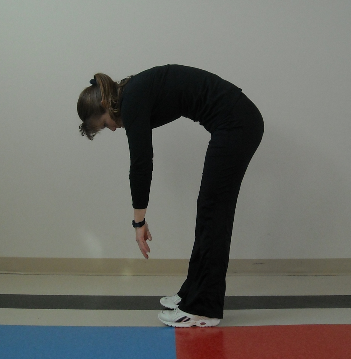 Support Your Back When Riding Horses Horse Journals